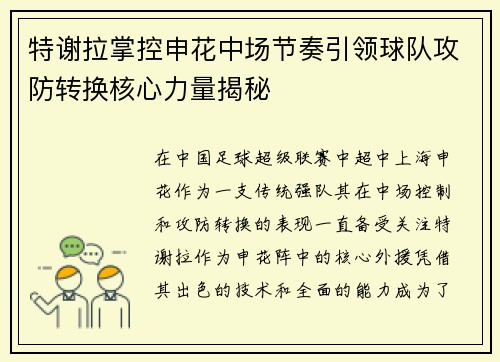 特谢拉掌控申花中场节奏引领球队攻防转换核心力量揭秘